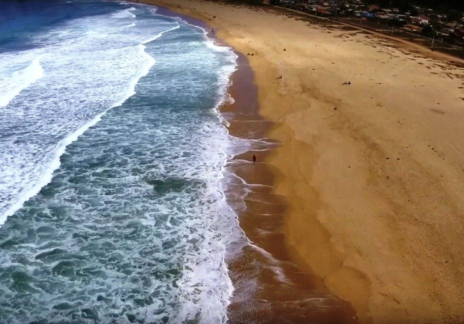 Extensa Costa